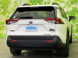 RAV4 2.5 ハイブリッド アドベンチャー オフロードパッケージ II E-Four 4WD 