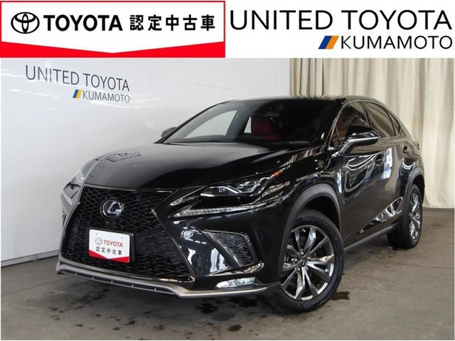 NX 300h Fスポーツ 