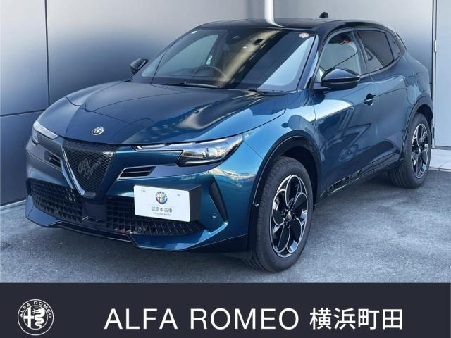 ジュニアイブリダ プレミアムイブリダ プレミアム