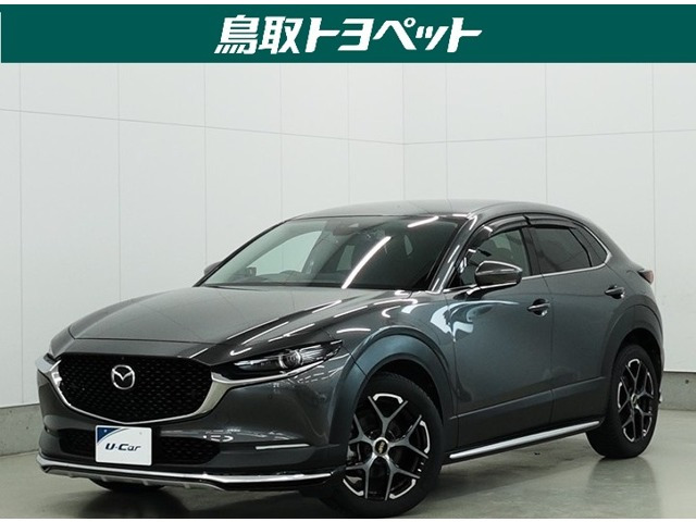 CX-301.8 XD プロアクティブ 4WD
