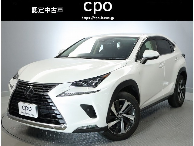 NX300 バージョンL 4WD