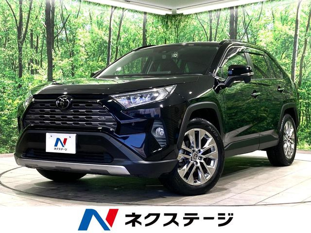 RAV4 2.0 G Zパッケージ 4WD （6BA-MXAA54）