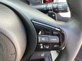 高速道路などでとても快適な「追従機能付きアダプティブ・クルーズコントロール」を装備♪