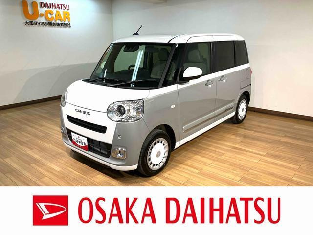 ムーヴキャンバス  ストライプス G