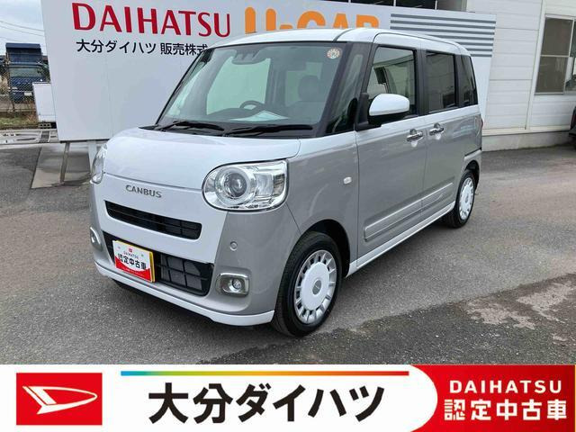 ムーヴキャンバス  ストライプス G