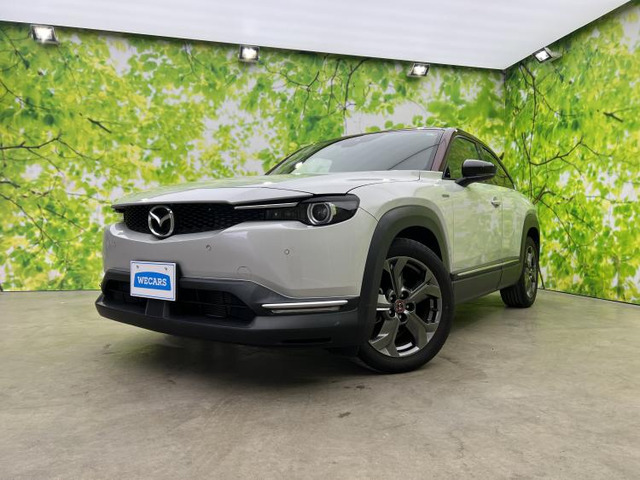 MX-302.0 100周年特別記念車 4WD