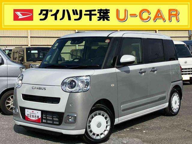 ムーヴキャンバス  ストライプス G