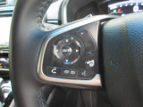 ハンドルにオーディオの操作スイッチが装備されています!視線を前方から外さずハンドルから手を離さずに操作できるのでとっても安全ですね♪