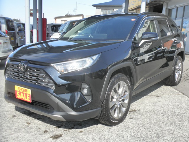 RAV4 2.0 G Zパッケージ 4WD（6BA-MXAA54）