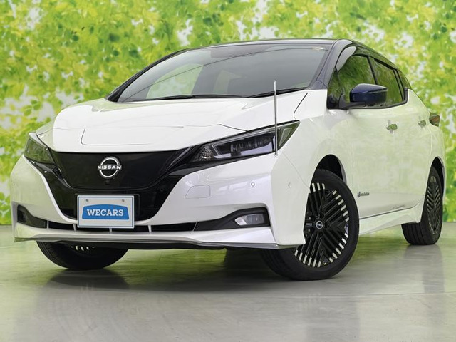 リーフ（日産）の中古車 | 中古車情報・中古車検索なら【車選びドット