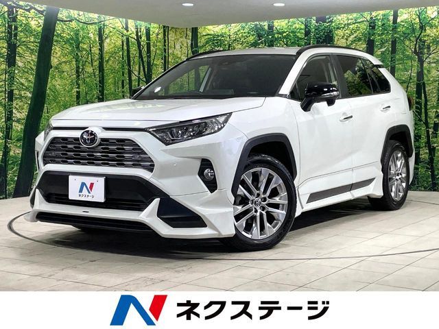 RAV4 2.0 G Zパッケージ 4WD （6BA-MXAA54）
