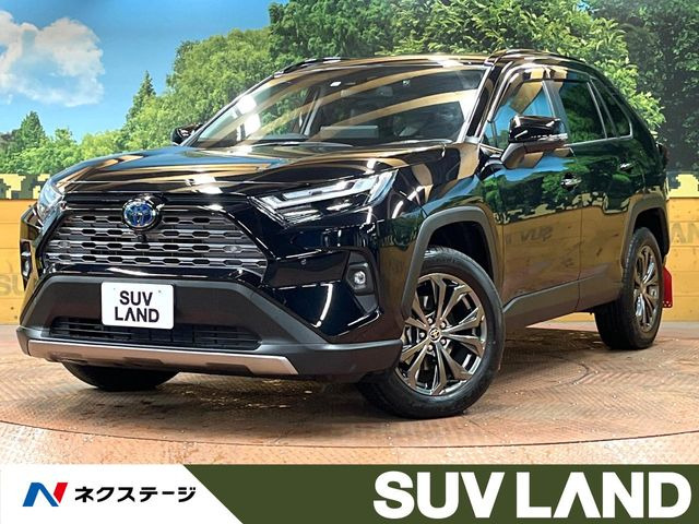 RAV4 2.5 ハイブリッド G E-Four 4WD （6AA-AXAH54）