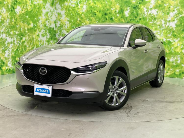 CX-30 2.0 20S プロアクティブ ツーリングセレクション 