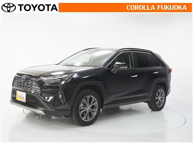 RAV4 2.5 ハイブリッド G E-Four 4WD （6AA-AXAH54）