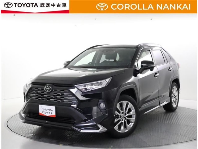 RAV4 2.0 G Zパッケージ 4WD（6BA-MXAA54）