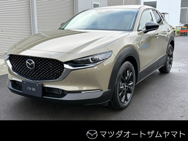 CX-30 2.0 20S ブラック セレクション 