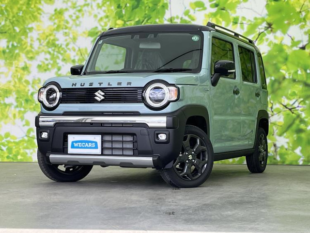 ハスラー タフワイルド 