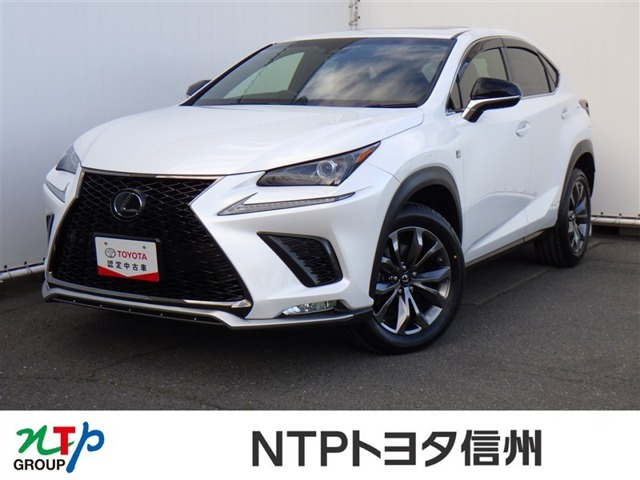 NX 300 Fスポーツ （DBA-AGZ10）