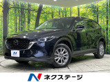 純正10インチナビ バックカメラ レーダークルーズコントロール 禁煙車