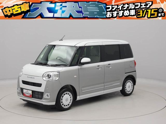 ムーヴキャンバス  ストライプス G