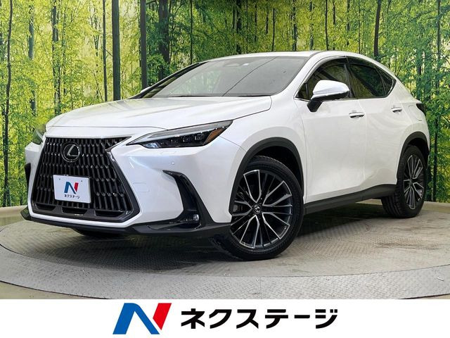 NX350h バージョンL