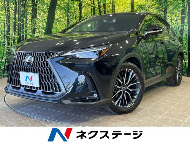 NX250 バージョンL