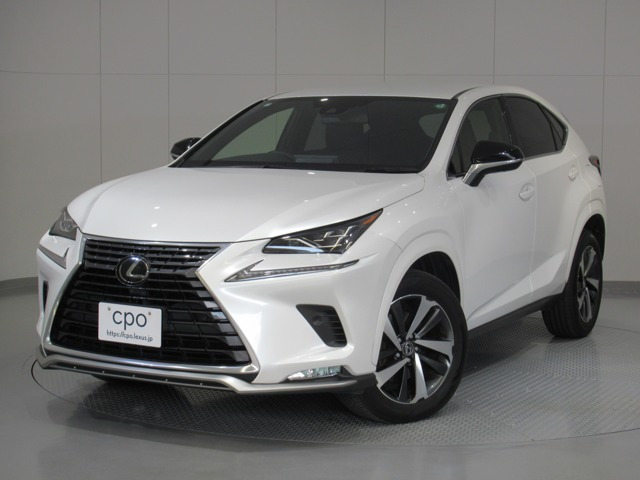 NX 300 スパイス&シック（3BA-AGZ10）