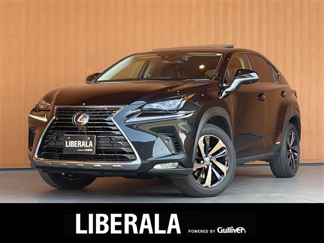 NX300h バージョンL本革シート サンルーフ