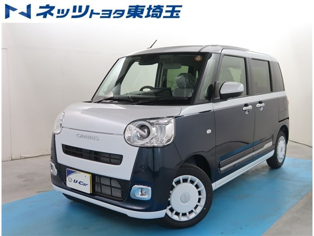 ムーヴキャンバス  ストライプス G