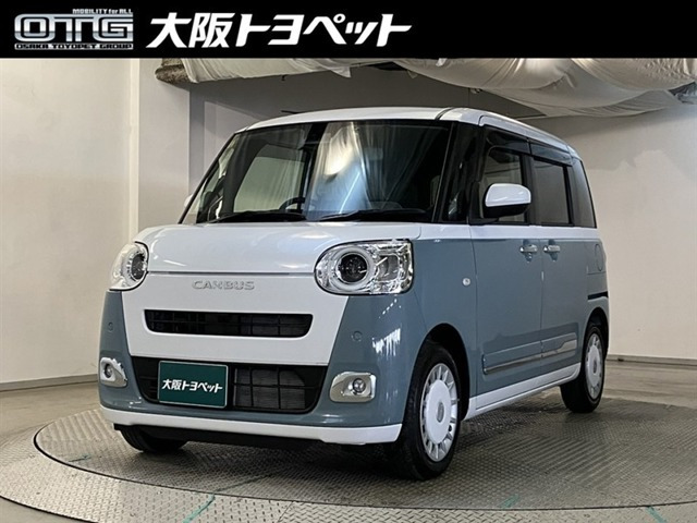 ムーヴキャンバス  ストライプス G