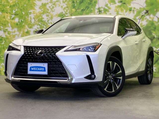 UX 250h バージョンL 