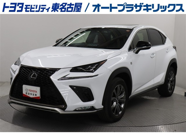 NX 300 Fスポーツ 