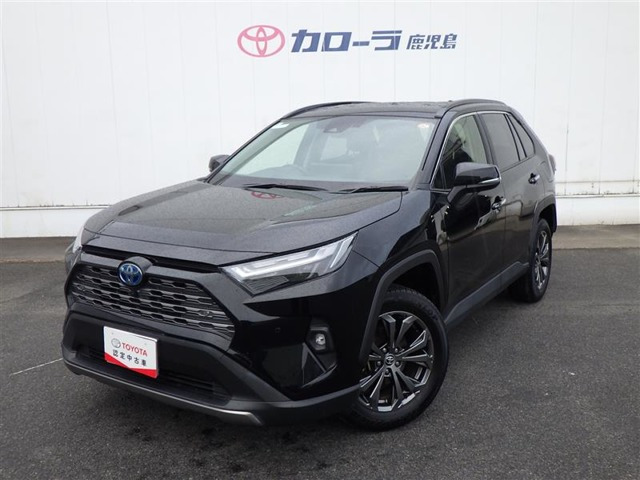 RAV4 2.5 ハイブリッド G E-Four 4WD （6AA-AXAH54）