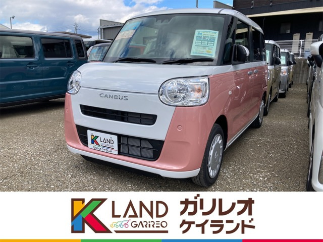 ムーヴキャンバス  ストライプス X