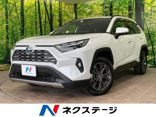 RAV4 2.5 ハイブリッド G E-Four 4WD （6AA-AXAH54）