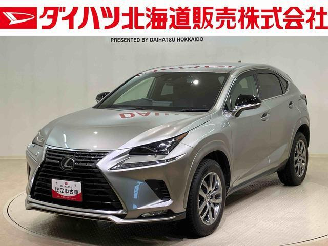 NX300スパイス&シック 4WD