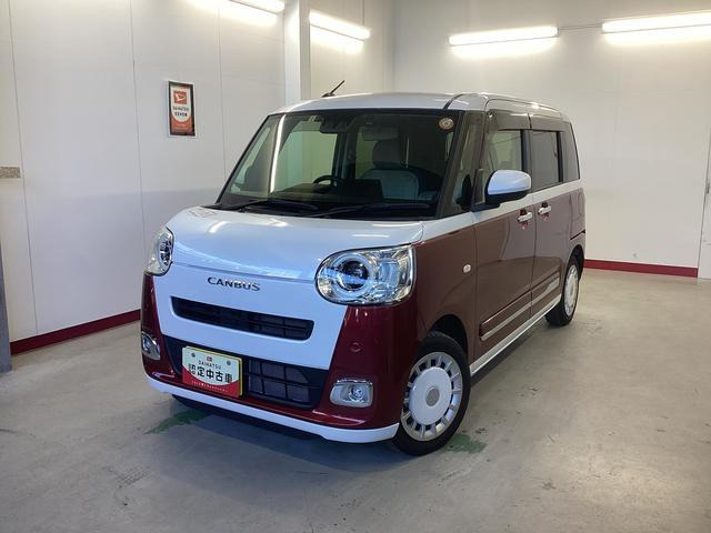 ムーヴキャンバス  ストライプス G