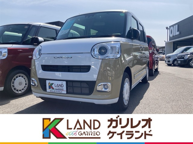 ムーヴキャンバス  ストライプス G