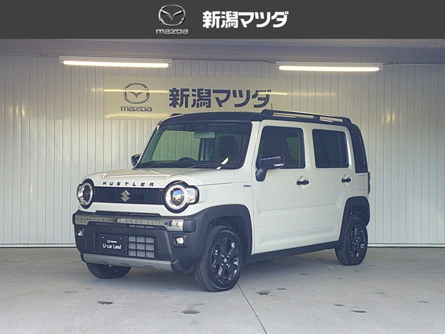 ハスラー タフワイルド （DAA-MR41S）