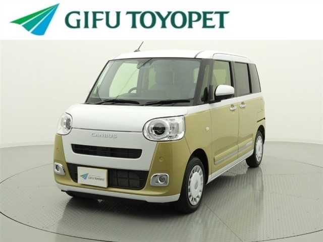 ムーヴキャンバス  ストライプス G