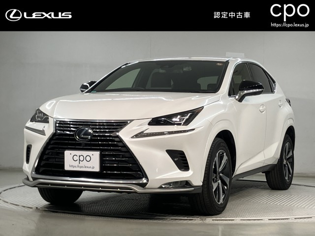 NX300スパイス&シック