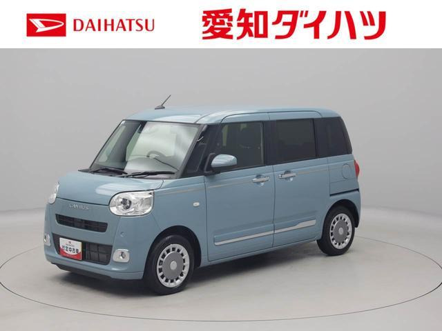 ムーヴキャンバス  セオリー G