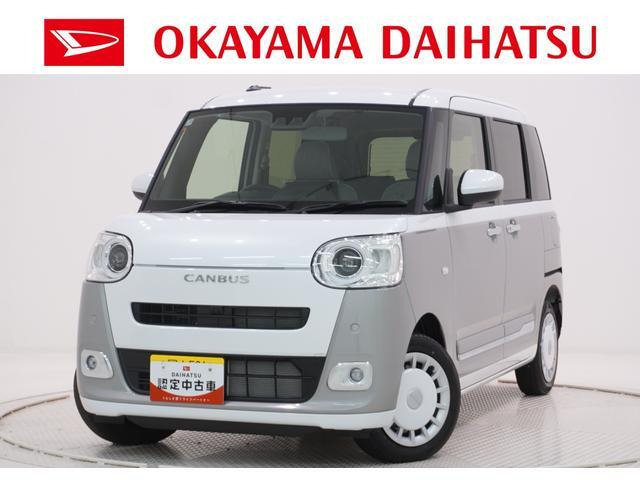 ムーヴキャンバス  ストライプス G