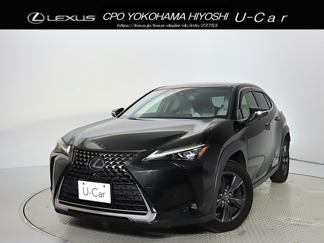 UX 250h バージョンC 