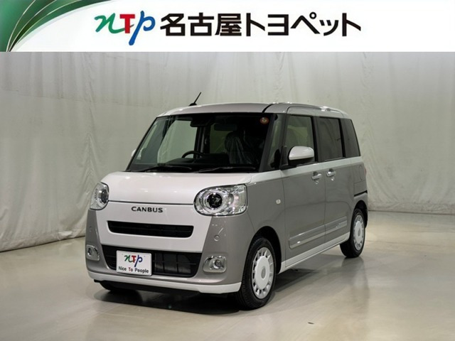 ムーヴキャンバス  ストライプス G