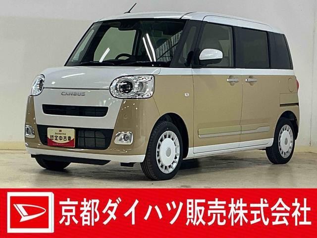 ムーヴキャンバス  ストライプス G