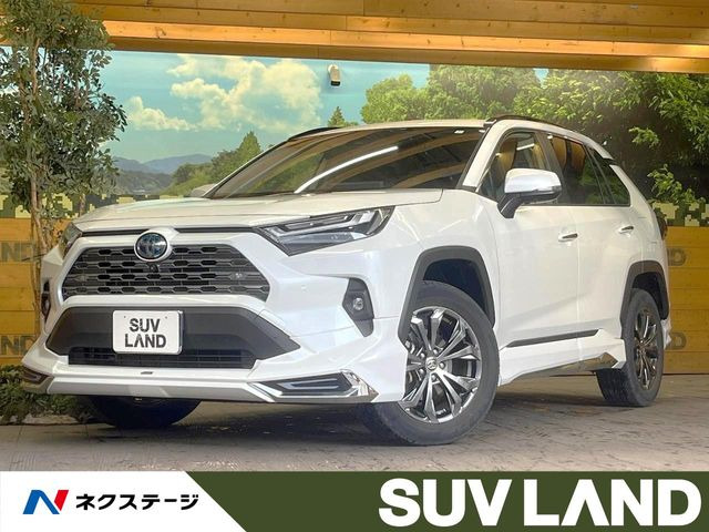 RAV4 2.5 ハイブリッド G E-Four 4WD （6AA-AXAH54）