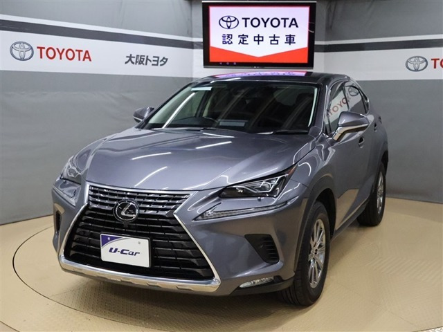 NX 300 Iパッケージ