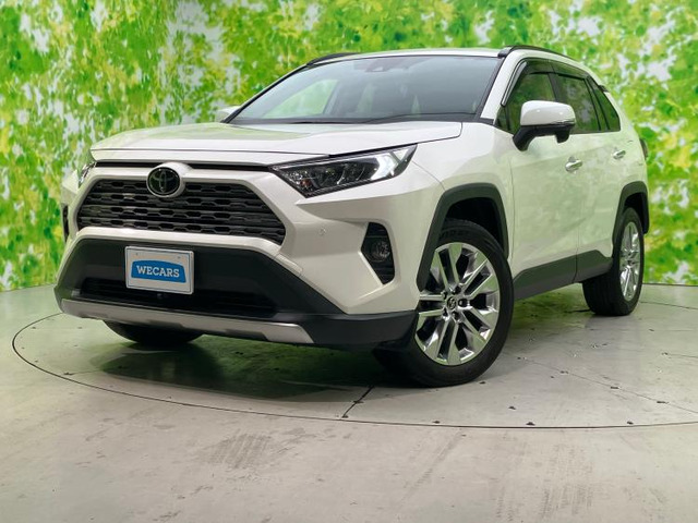 RAV4 2.0 G Zパッケージ 4WD 