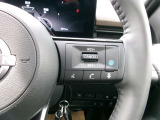 プロパイロット付きです。高速道路での長距離運転がとてもらくで、運転が楽しくなります。